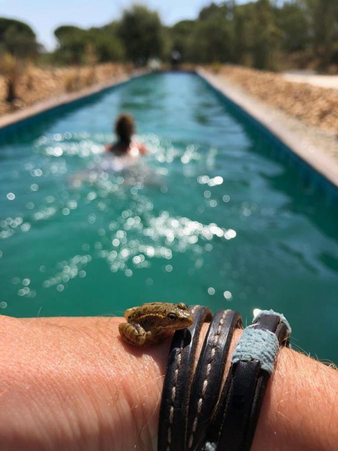 Sublim' Ecolodge Abela Esterno foto
