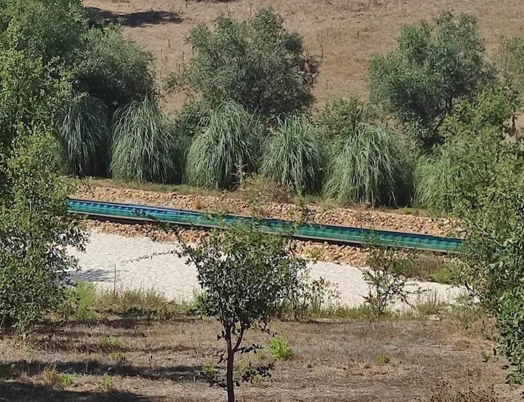 Sublim' Ecolodge Abela Esterno foto